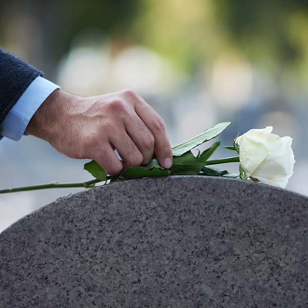 Man placing a white rose on a grave